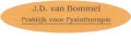 Van Bommel